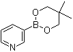 Pyridine-3-boronic acid neopentyl glycol ester molecular structure (CAS 845885-86-1)