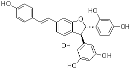 Gnetin D molecular structure (CAS 84870-53-1)