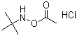 N-(乙酰基氧基)-2-甲基-2-丙胺盐酸盐分子结构 (CAS 851074-40-3)