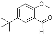 5-tert-Butyl-2-methoxybenzaldehyde molecular structure (CAS 85943-26-6)