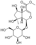 6beta-野芝麻新甙分子结构 (CAS 87797-84-0)