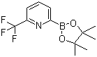 结构式 CAS# 881402-16-0, 6-(三氟甲基)吡啶-2-硼酸频哪醇酯