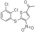 1-[5-[(2,3-Dichlorophenyl)thio]-4-nitro-2-thienyl]-ethanone molecular structure (CAS 882257-11-6)