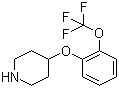 structure of CAS# 902836-49-1, 4-[2-(Trifluoromethoxy)phenoxy]piperidine