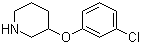 3-(3-氯苯氧基)哌啶分子结构 (CAS 902837-32-5)