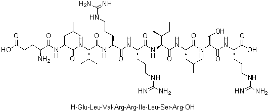 L-alpha-Glutamyl-L-leucyl-L-valyl-L-arginyl-L-arginyl-L-isoleucyl-L-leucyl-L-seryl-L-arginine molecular structure (CAS 909017-58-9)