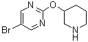 5-Bromo-2-(3-piperidinyloxy)pyrimidine molecular structure (CAS 914347-73-2)
