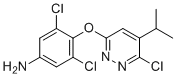3,5-Dichloro-4-((6-chloro-5-isopropylpyridazin-3-yl)oxy)aniline molecular structure (CAS 920509-27-9)