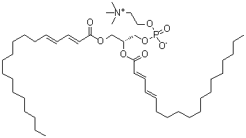 1,2-Di-[(2E,4E)-2,4-octadecadienoyl]-sn-glycero-3-phosphocholine molecular structure (CAS 95721-44-1)