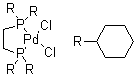 Dichloro[1,2-bis(dicyclohexylphosphino)ethane]palladium molecular structure (CAS 96165-44-5)