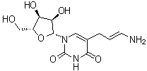 5-(3-Aminoallyl)uridine molecular structure (CAS 97695-16-4)